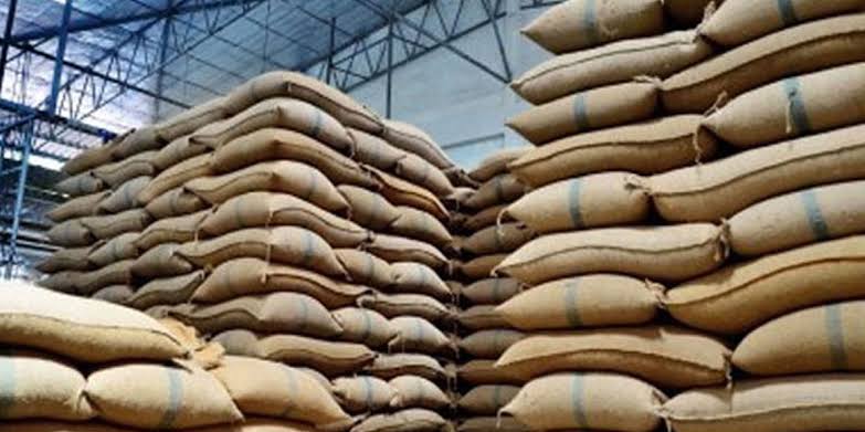 محکمہ فوڈ دادو کے سرکاری خریداری مراکز گوداموں میں نئی  گندم خریدنے سے قبل پرانی گندم کی گنتی میں بوریاں غائب
