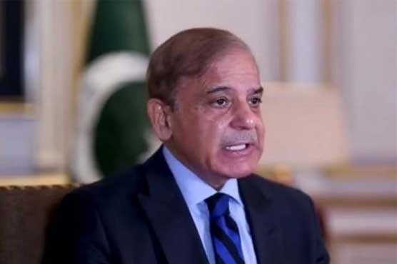 ہر 15 روز بعد مجھے نیند نہیں آتی کہیں پٹرول کی قیمتیں نہ بڑھیں: وزیراعظم شہباز شریف